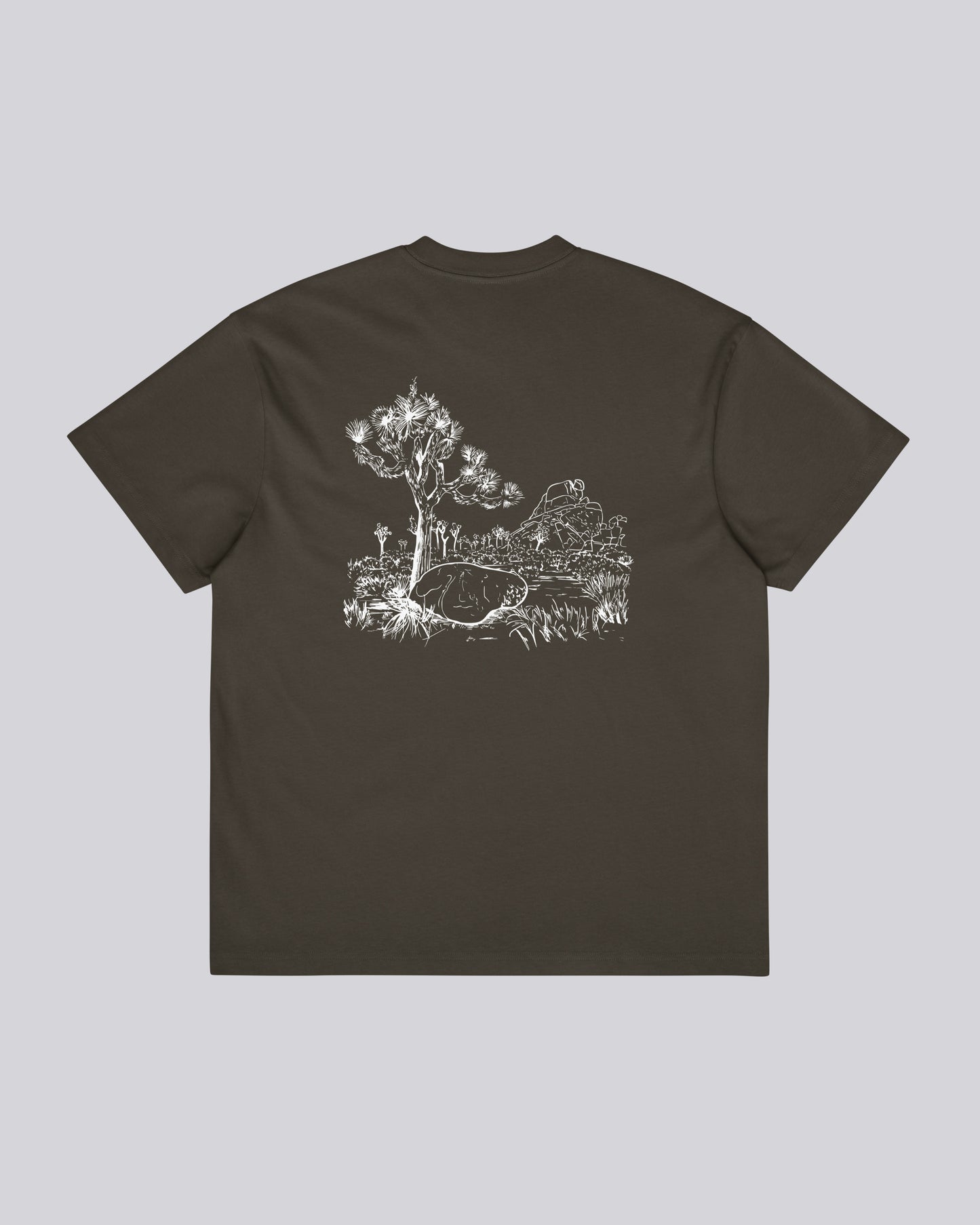 CocaPoola & Storm | Joshua Tree