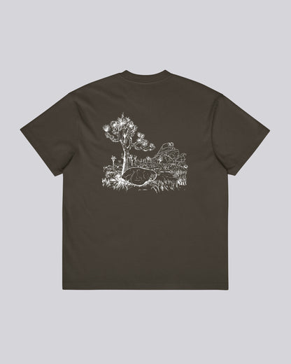 CocaPoola & Storm | Joshua Tree