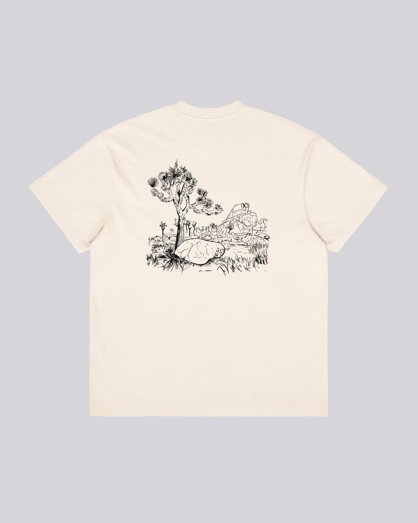 CocaPoola & Storm | Joshua Tree