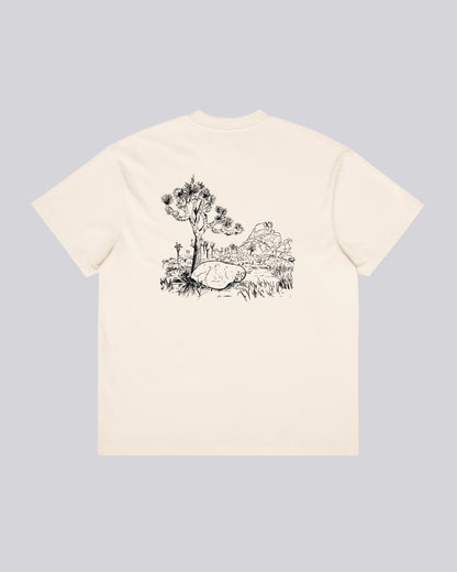 CocaPoola & Storm | Joshua Tree