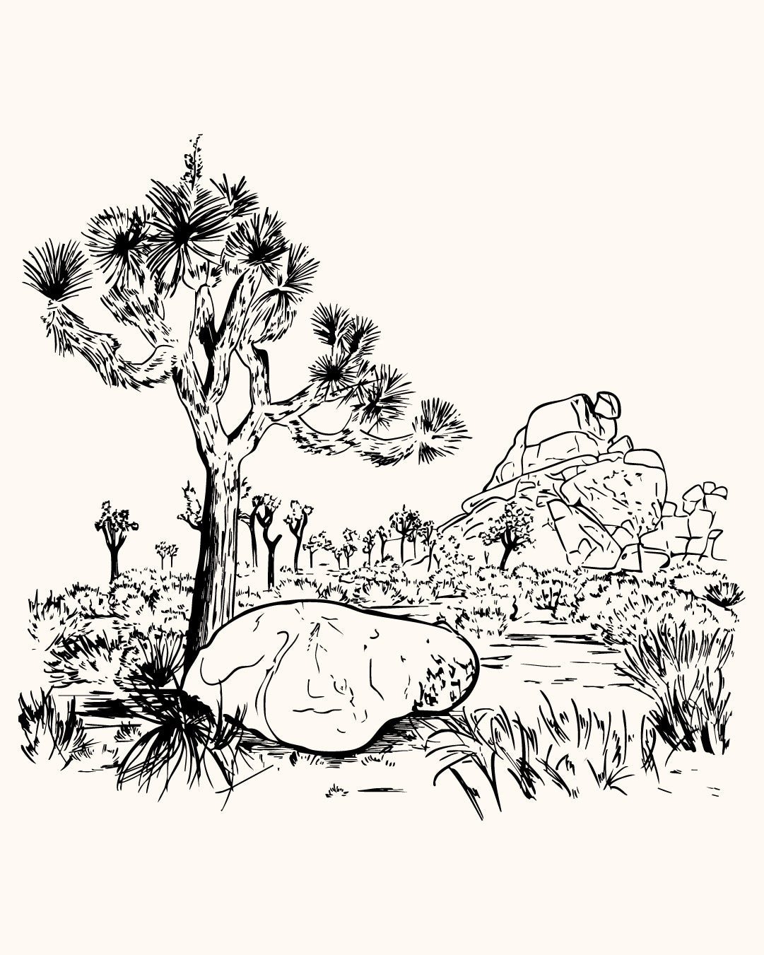 CocaPoola & Storm | Joshua Tree